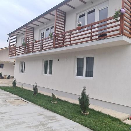 Luca'S House Apartment Balotesti Exterior photo