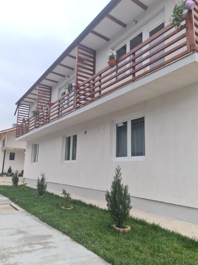 Luca'S House Apartment Balotesti Exterior photo